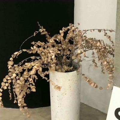 雅江FurryQQ群介绍